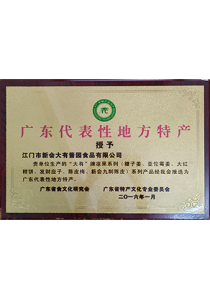 广东代表性地方特产