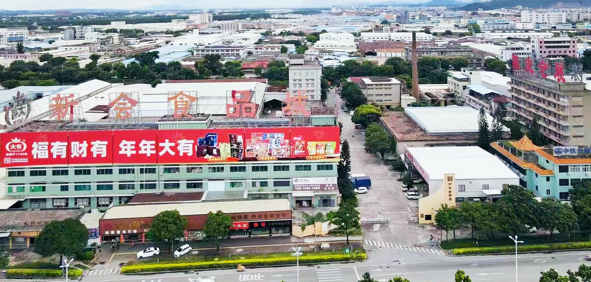 小青柑厂家